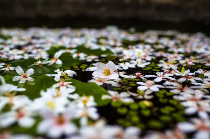 上海短視頻代運(yùn)營(yíng)公司 上海短視頻代運(yùn)營(yíng)公司