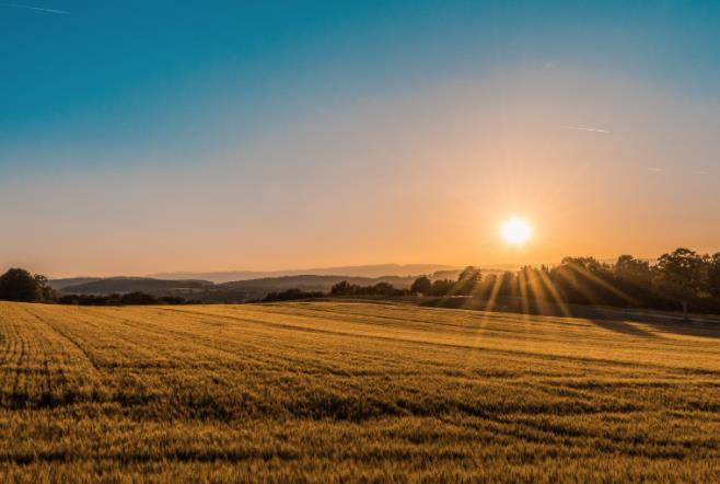 上海短視頻代運營公司如何構建私域流量