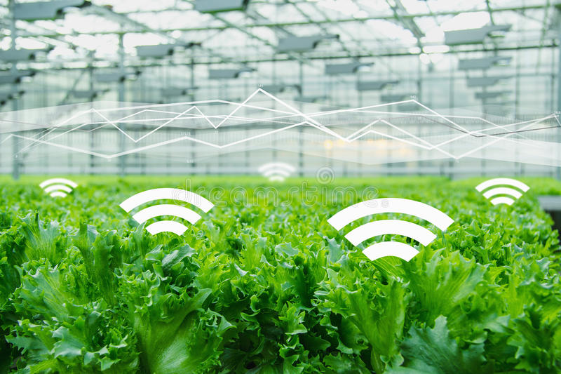 互聯(lián)網(wǎng)農(nóng)業(yè)品牌定位應(yīng)該找哪些人來(lái)做？