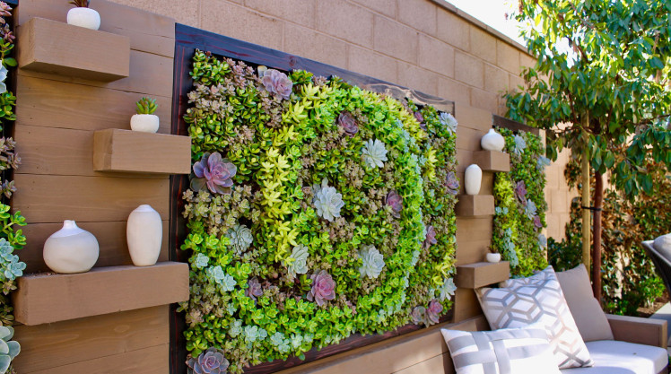 綠植租賃2.jpg 綠植租賃