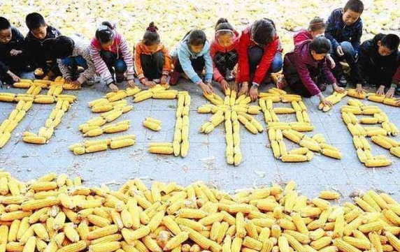 制止餐飲浪費(fèi)問題從餐飲品牌店做起 制止餐飲浪費(fèi)問題從餐飲品牌店做起