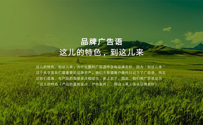 農(nóng)業(yè)品牌策劃推動農(nóng)業(yè)品牌發(fā)展 農(nóng)業(yè)品牌策劃推動農(nóng)業(yè)品牌發(fā)展