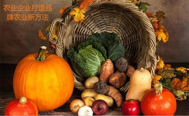農業(yè)企業(yè)打造品牌農業(yè)新方法 農業(yè)企業(yè)打造品牌農業(yè)新方法