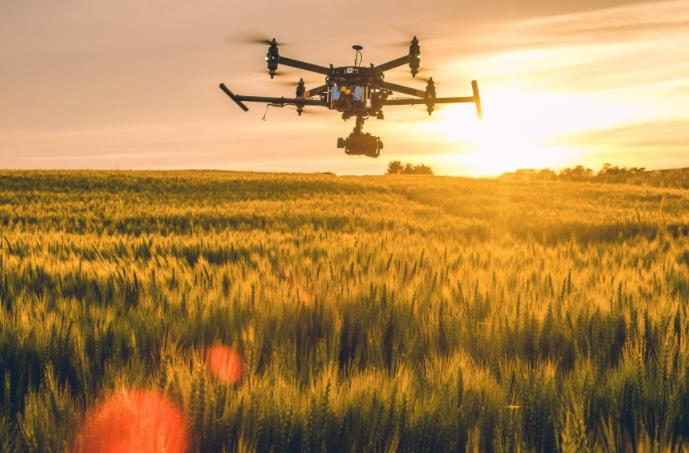 農(nóng)業(yè)發(fā)展戰(zhàn)略策劃 農(nóng)產(chǎn)品品牌策劃設(shè)計(jì)公司 農(nóng)業(yè)發(fā)展戰(zhàn)略策劃 農(nóng)產(chǎn)品品牌策劃設(shè)計(jì)公司