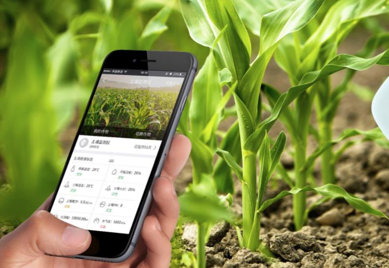 農(nóng)業(yè)發(fā)展戰(zhàn)略策劃 農(nóng)產(chǎn)品品牌策劃設(shè)計(jì)公司 農(nóng)業(yè)發(fā)展戰(zhàn)略策劃 農(nóng)產(chǎn)品品牌策劃設(shè)計(jì)公司