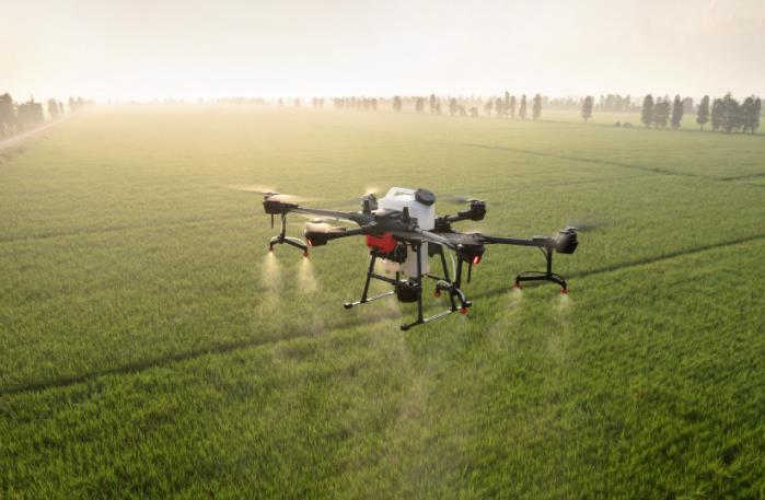 農(nóng)業(yè)發(fā)展戰(zhàn)略策劃 農(nóng)產(chǎn)品品牌策劃設(shè)計(jì)公司 農(nóng)業(yè)發(fā)展戰(zhàn)略策劃 農(nóng)產(chǎn)品品牌策劃設(shè)計(jì)公司