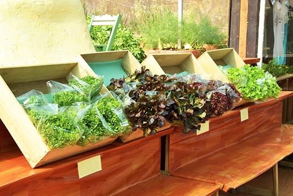 農(nóng)業(yè)包裝設(shè)計(jì)的重要作用與意義 農(nóng)業(yè)包裝設(shè)計(jì)的重要作用與意義