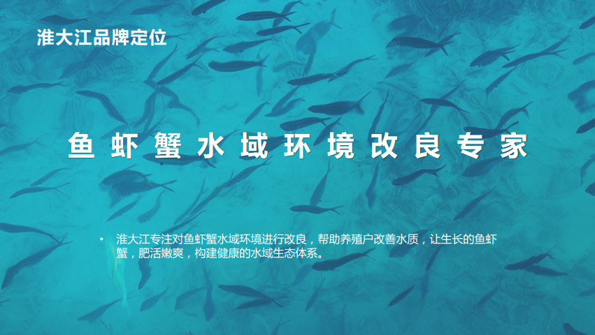 水產(chǎn)動保品牌全案策劃設(shè)計 水產(chǎn)動保品牌全案策劃設(shè)計