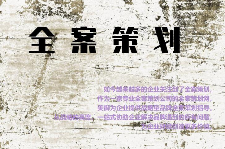 專業(yè)全案策劃網(wǎng)，為企業(yè)提供戰(zhàn)略型品牌全案策劃指導(dǎo)