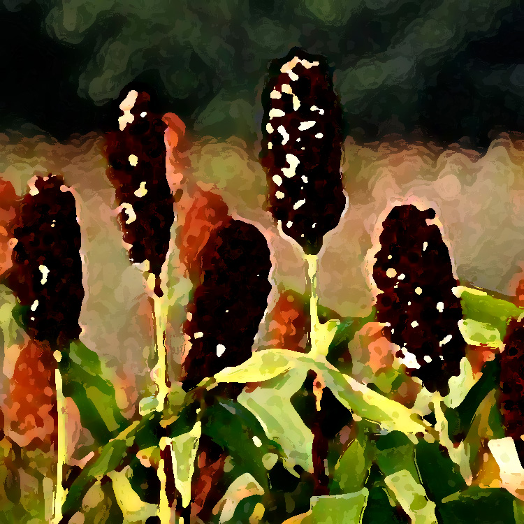 農(nóng)業(yè)老品牌提升，讓品牌強起來