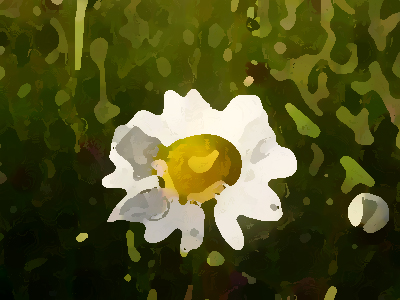 如何進(jìn)行農(nóng)業(yè)品牌形象提升？