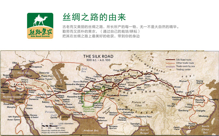 絲路果農品牌策劃