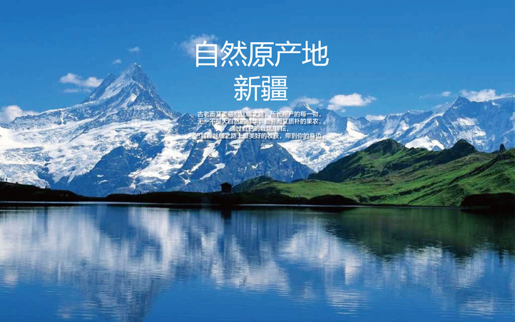 有機農產(chǎn)品品牌策劃