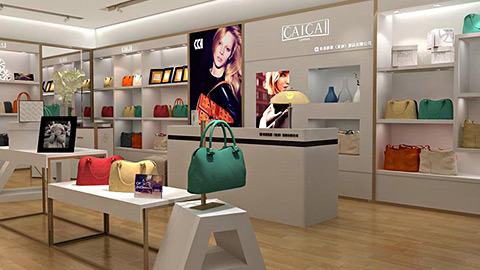 CAICAI蔡蔡女包品牌策劃設(shè)計(jì)