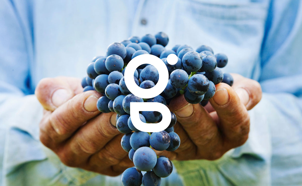 農(nóng)業(yè)品牌設(shè)計 農(nóng)業(yè)品牌設(shè)計