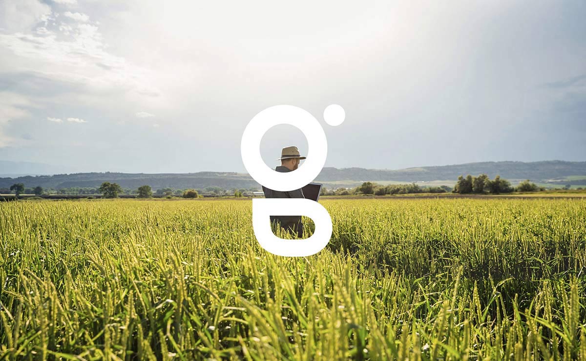 農(nóng)業(yè)品牌VI設(shè)計 農(nóng)業(yè)品牌VI設(shè)計