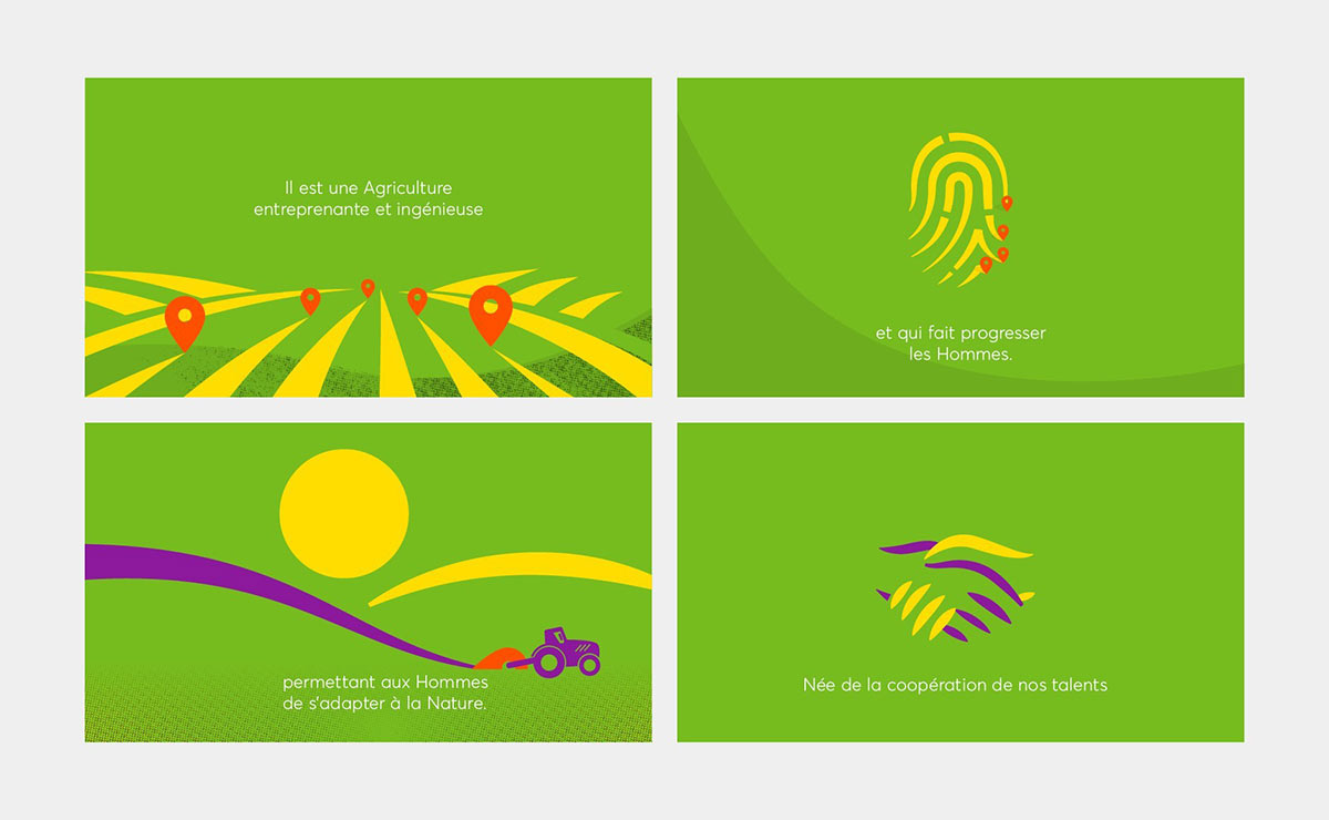 農業(yè)品牌升級設計 農業(yè)品牌升級設計