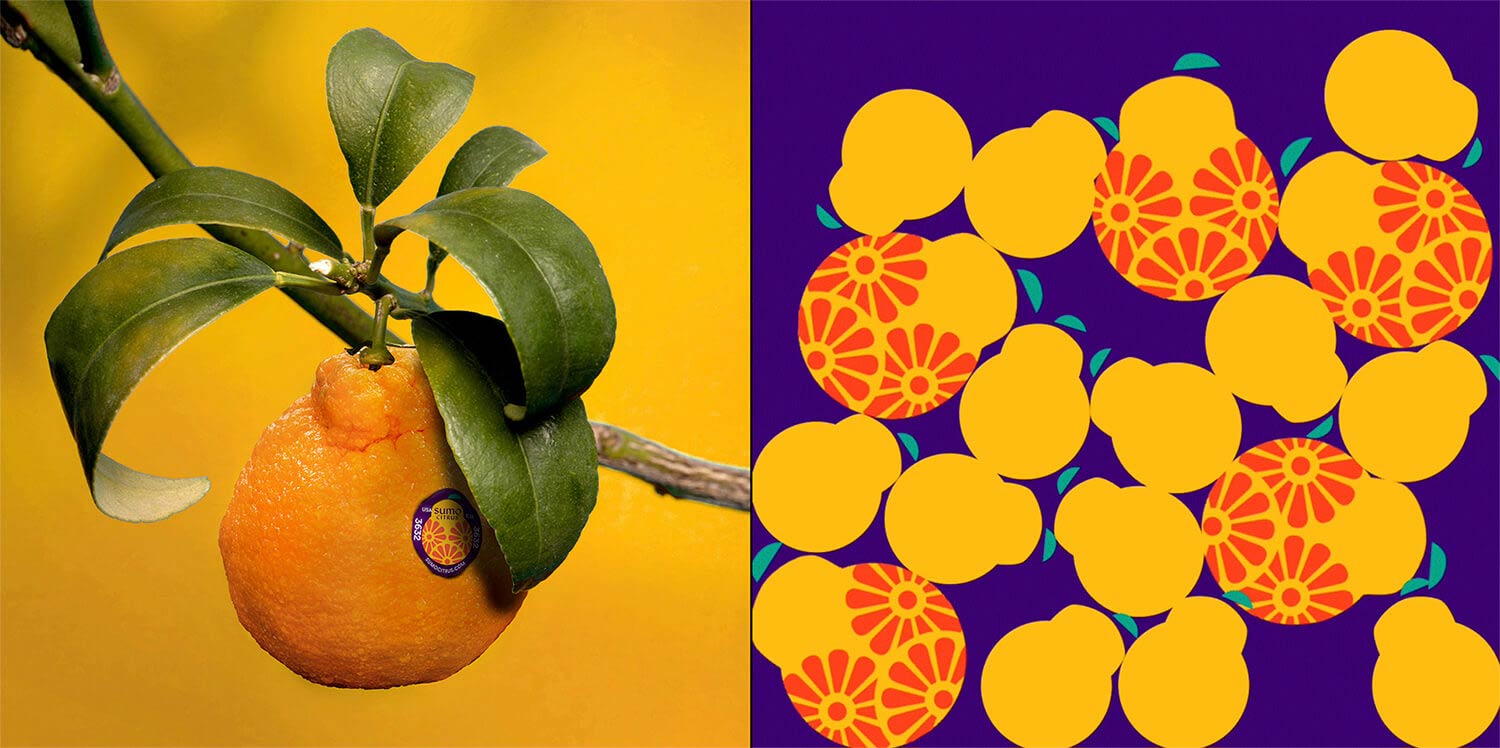 水果品牌設(shè)計 水果品牌設(shè)計