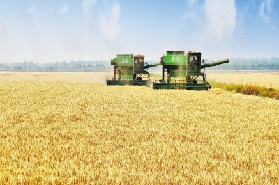 Img407710434.jpg Img407710434.jpg