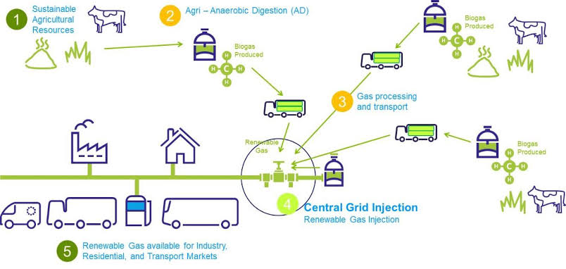 家庭農場創(chuàng)業(yè)計劃書 家庭農場創(chuàng)業(yè)計劃書