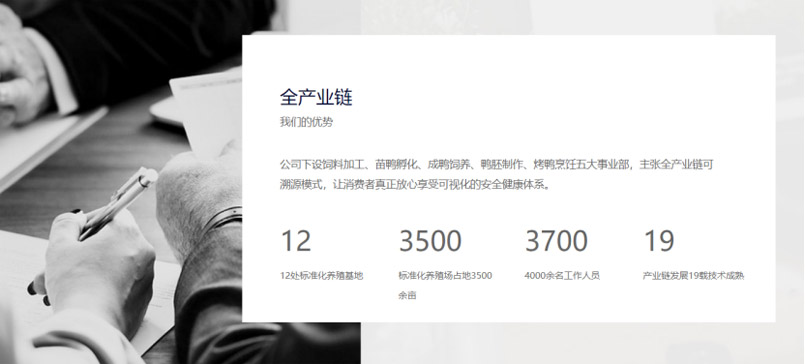 品牌全案策劃 品牌全案策劃