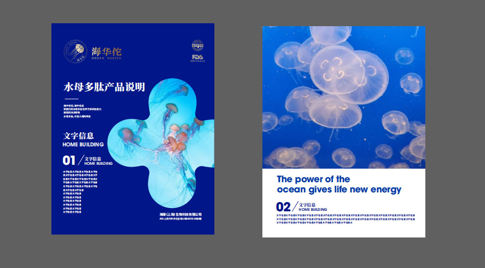 特醫(yī)食品營養(yǎng)品品牌全案策劃